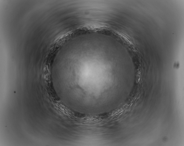 X0000101140917200806270916