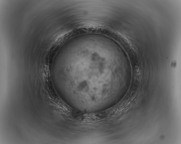 X0000101140918200806270916