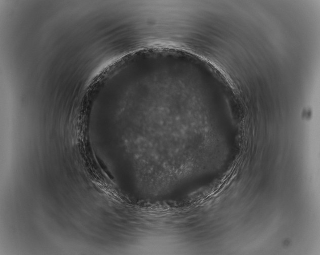 X0000101140919200806270916