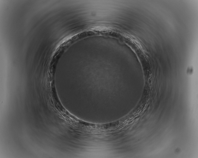 X0000101140920200806270916