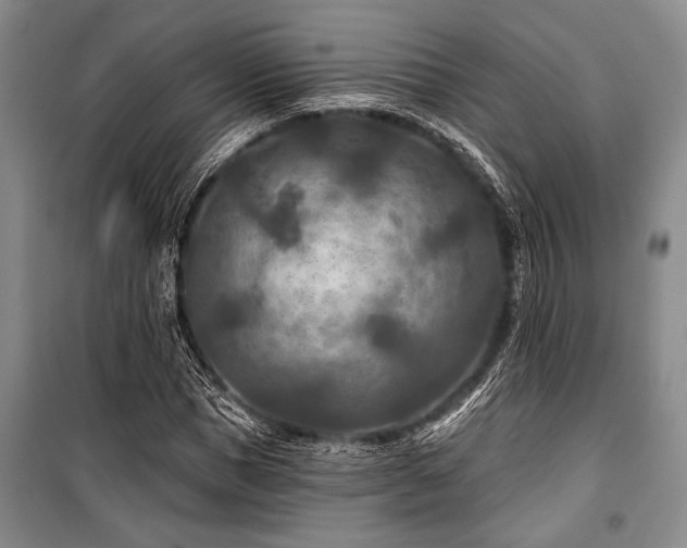 X0000101140921200806270916