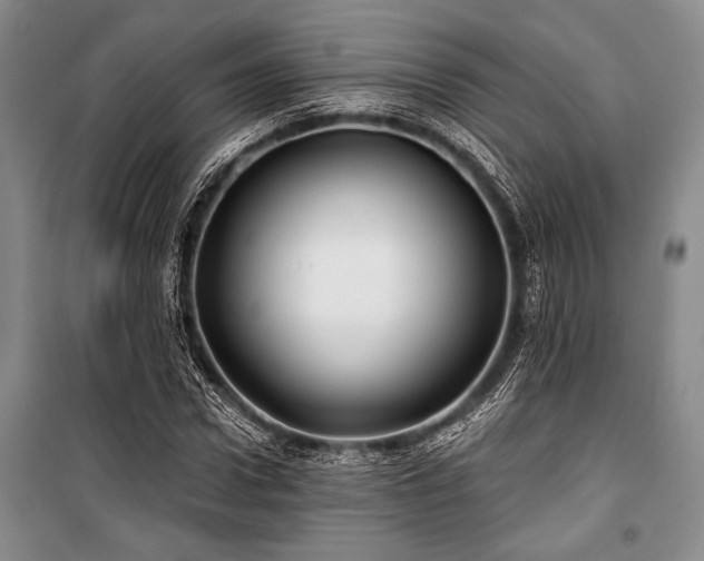 X0000101140922200806270916