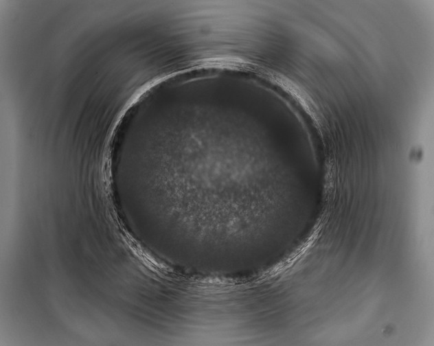 X0000101140923200806270916