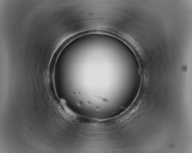 X0000101140924200806270916