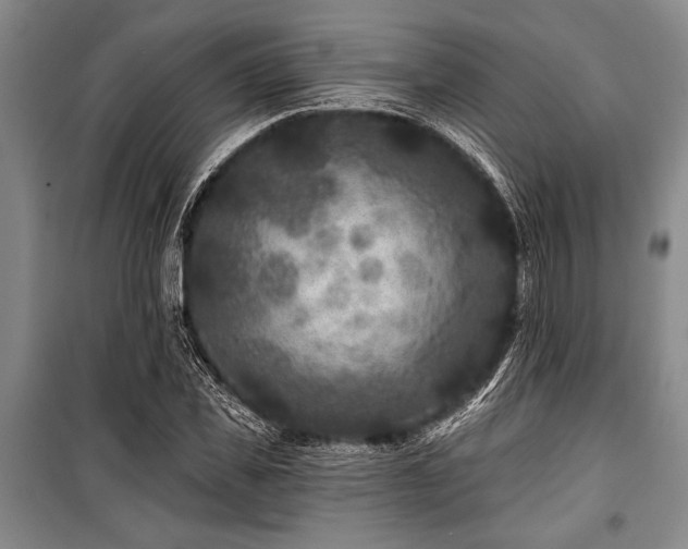 X0000101140925200806270916