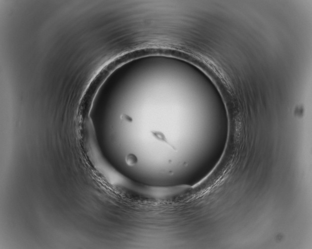 X0000101140926200806270916