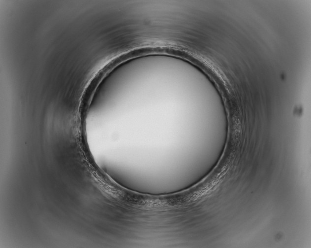 X0000101140927200806270916