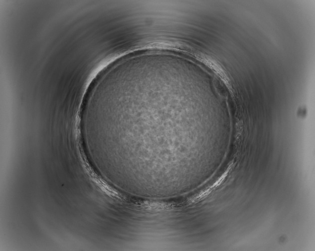 X0000101140928200806270916