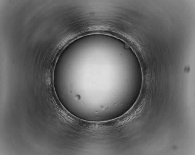 X0000101140929200806270916