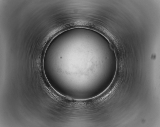 X0000101140930200806270916