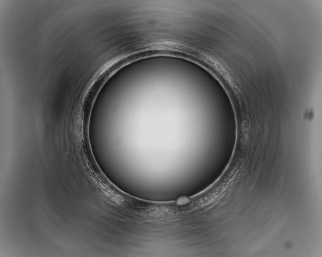 X0000101140931200806270916