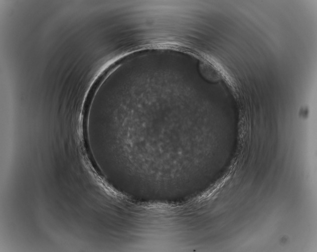 X0000101140932200806270916