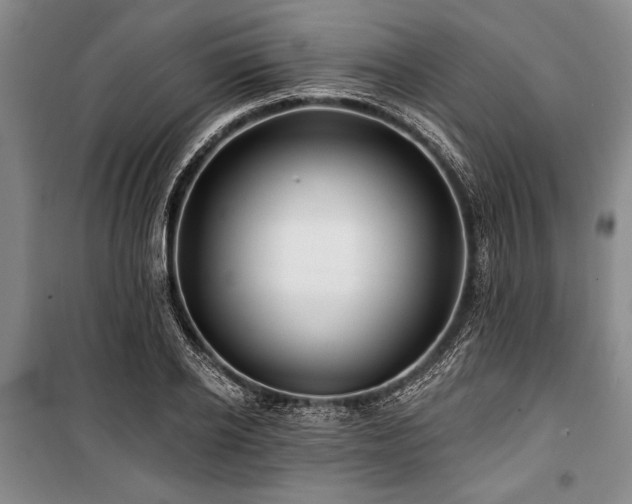 X0000101140934200806270916