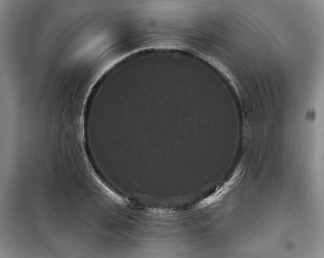 X0000101140935200806270916