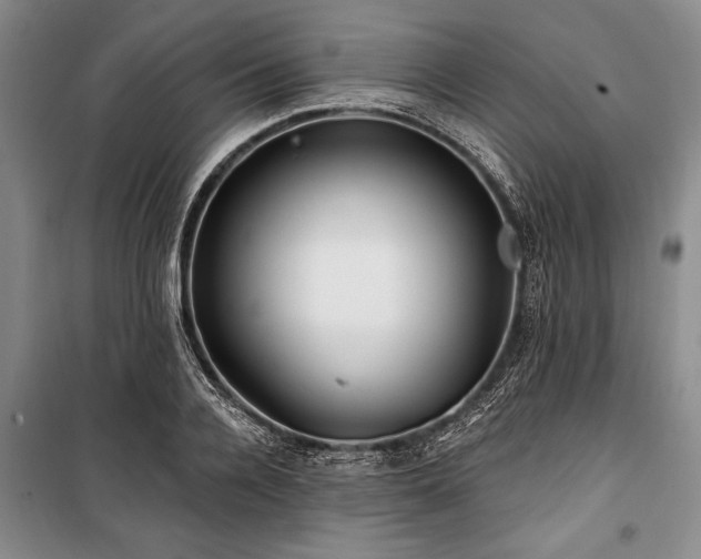 X0000101140936200806270916