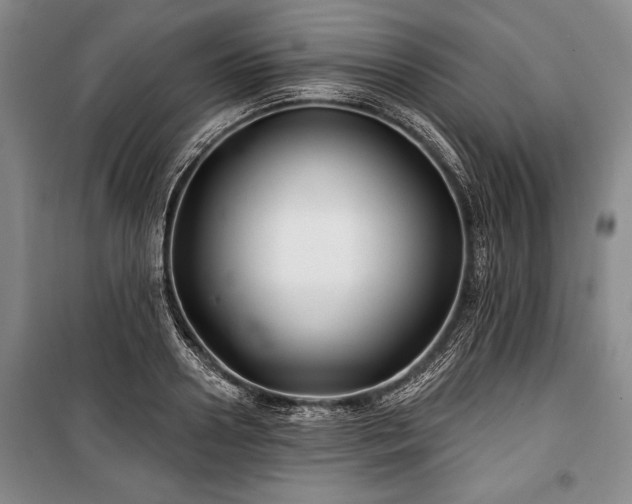 X0000101140938200806270916