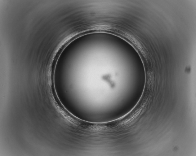 X0000101140939200806270916