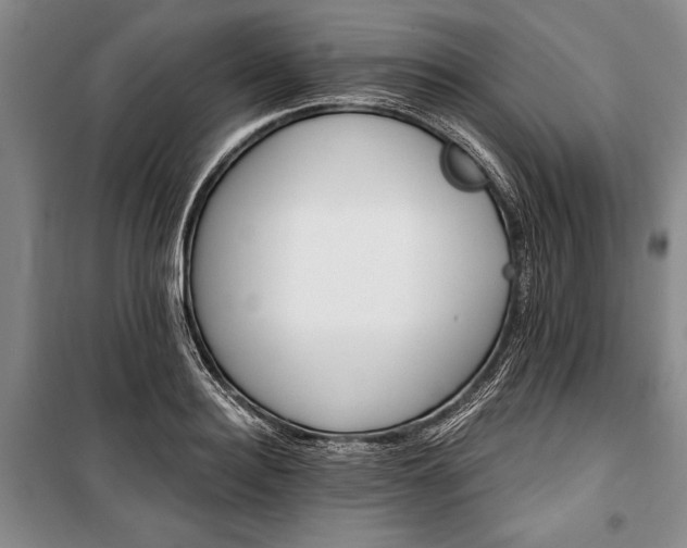 X0000101140940200806270916