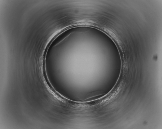 X0000101140941200806270916