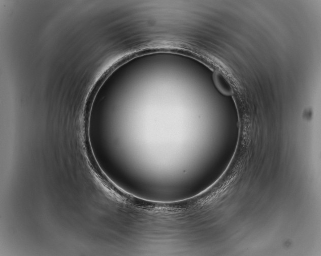 X0000101140942200806270916