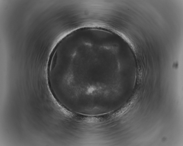 X0000101140943200806270916