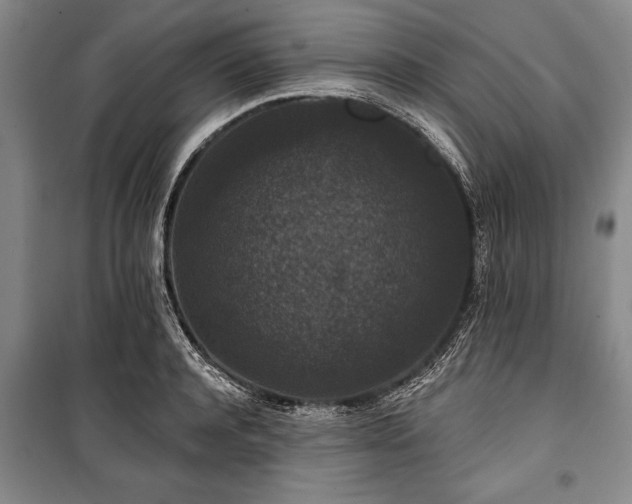 X0000101140944200806270916