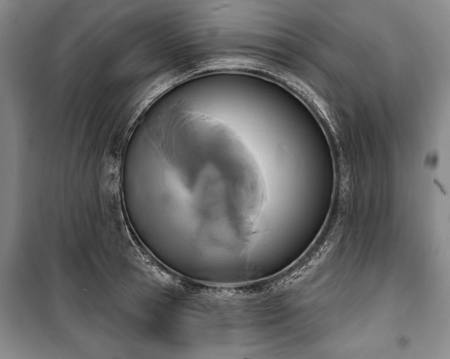 X0000101140945200806270916