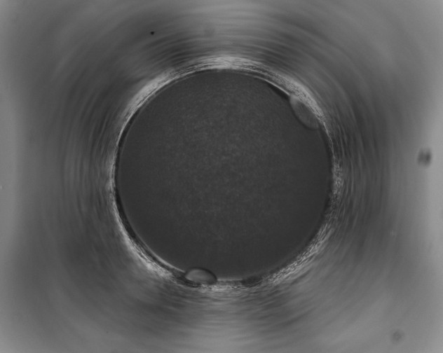 X0000101140946200806270916