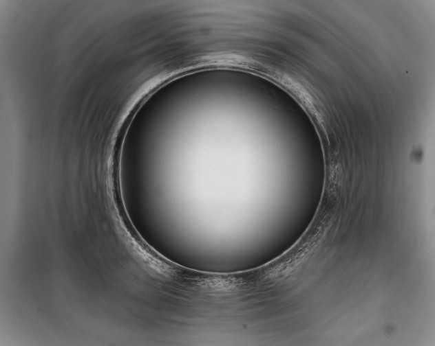 X0000101140947200806270916