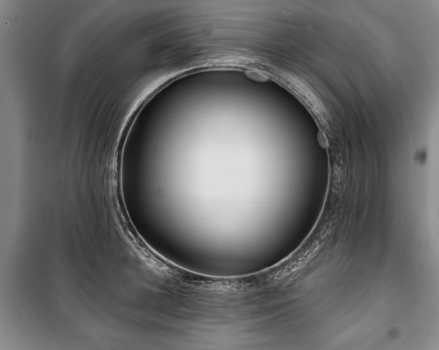 X0000101140948200806270916