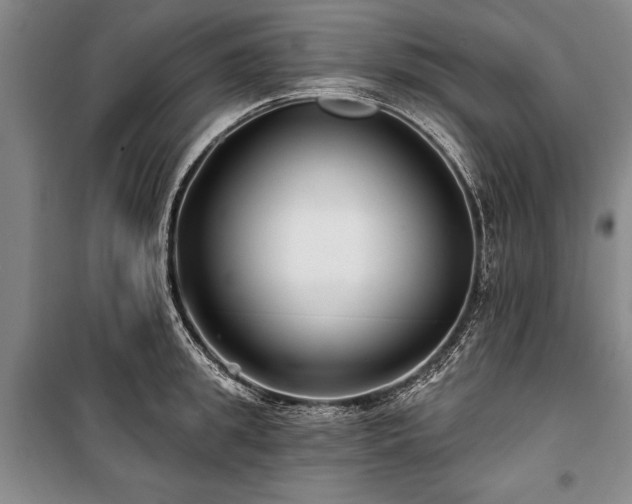 X0000101140949200806270916