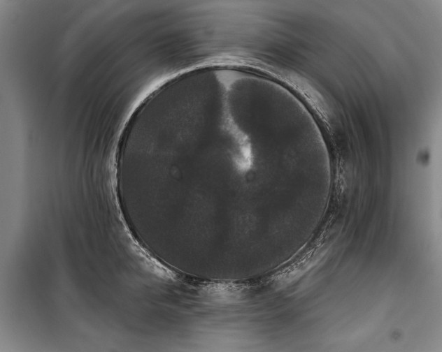 X0000101140950200806270916