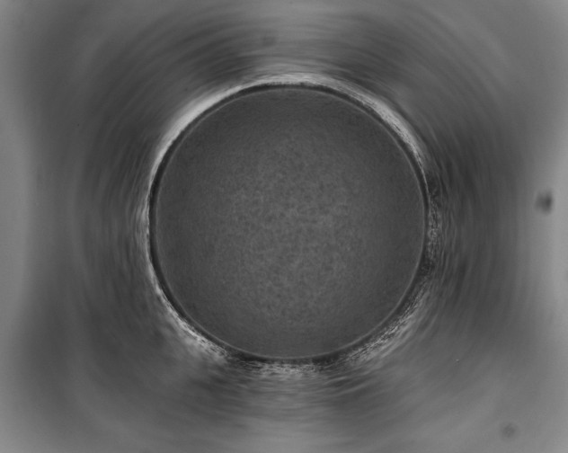 X0000101140951200806270916