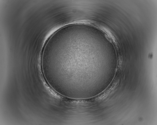 X0000101140952200806270916