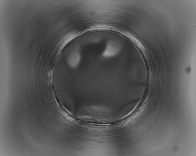 X0000101140953200806270916