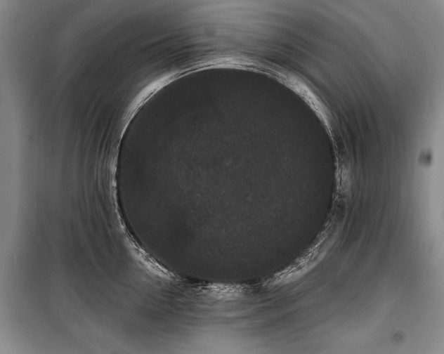 X0000101140954200806270916