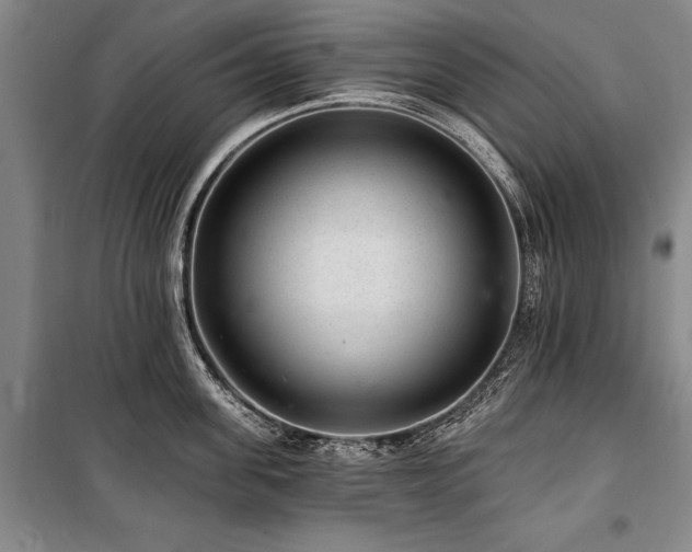 X0000101140955200806270916