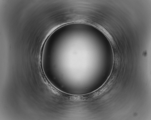 X0000101140956200806270916