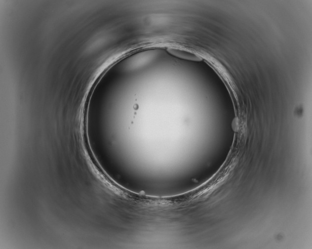 X0000101140957200806270916