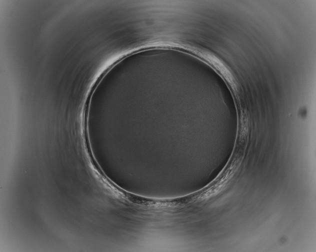 X0000101140958200806270916