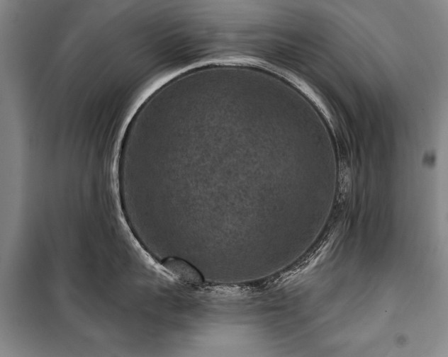 X0000101140959200806270916