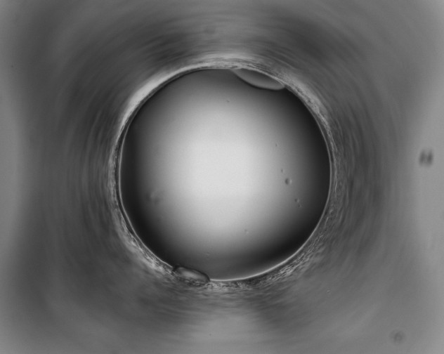 X0000101140960200806270916