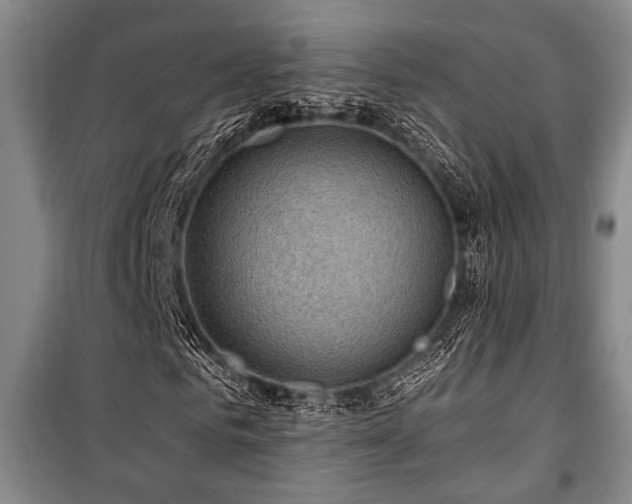 X0000101140961200806270916