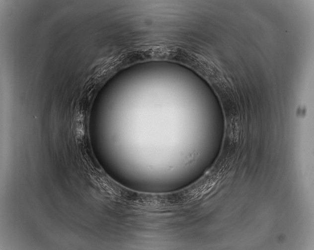 X0000101140962200806270916