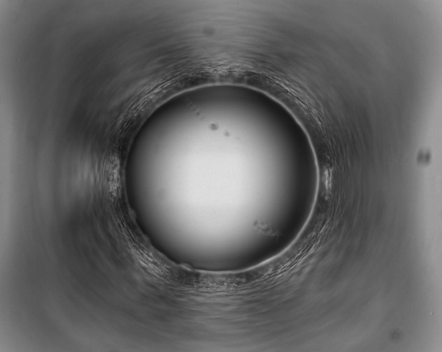 X0000101140963200806270916