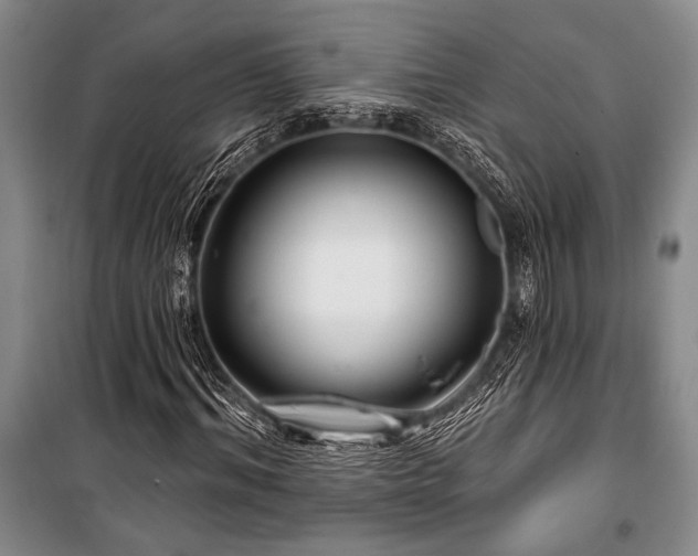 X0000101140964200806270916