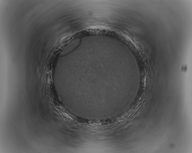 X0000101140965200806270916