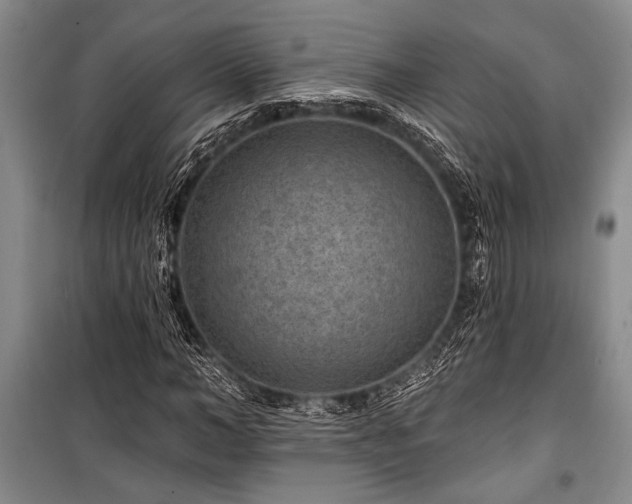 X0000101140966200806270916