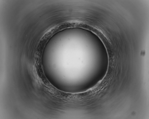 X0000101140967200806270916