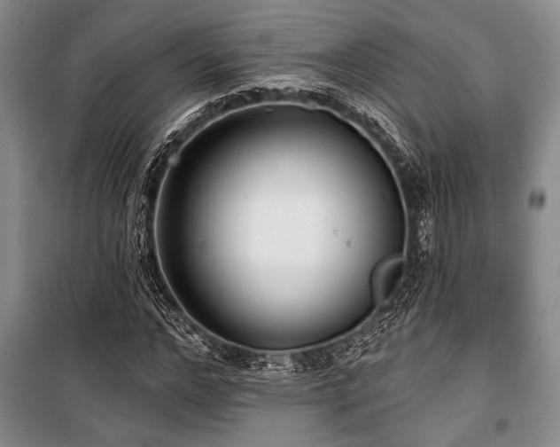 X0000101140968200806270916